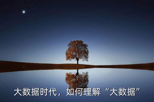大數(shù)據(jù)時(shí)代，如何理解“大數(shù)據(jù)”