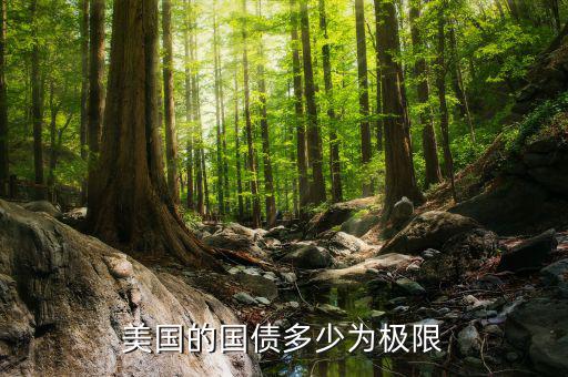 2015美國國債現在是多少,我國現在拋售美國國債