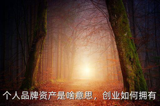 個(gè)人品牌資產(chǎn)是啥意思，創(chuàng)業(yè)如何擁有