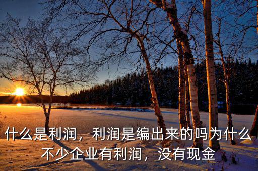 什么是利潤，利潤是編出來的嗎為什么不少企業(yè)有利潤，沒有現(xiàn)金