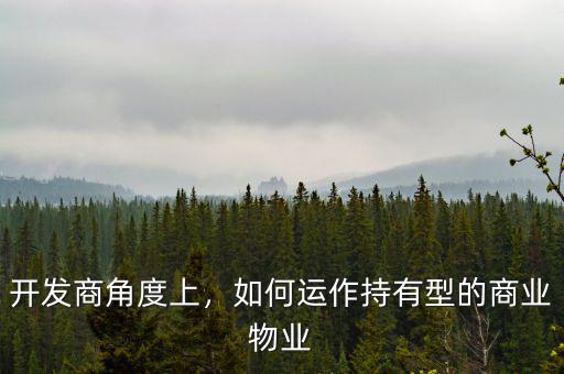 開發(fā)商角度上，如何運(yùn)作持有型的商業(yè)物業(yè)