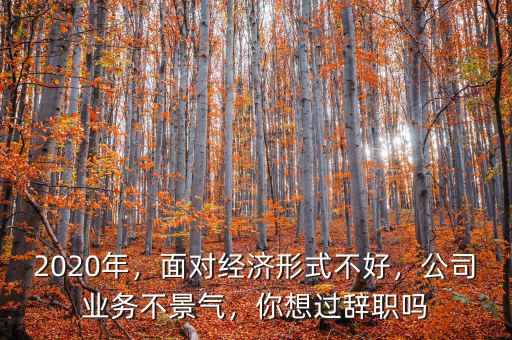 2020年，面對經(jīng)濟形式不好，公司業(yè)務(wù)不景氣，你想過辭職嗎