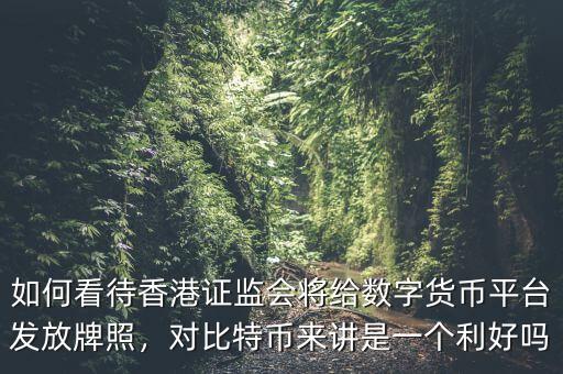 如何看待香港證監(jiān)會(huì)將給數(shù)字貨幣平臺(tái)發(fā)放牌照，對(duì)比特幣來(lái)講是一個(gè)利好嗎