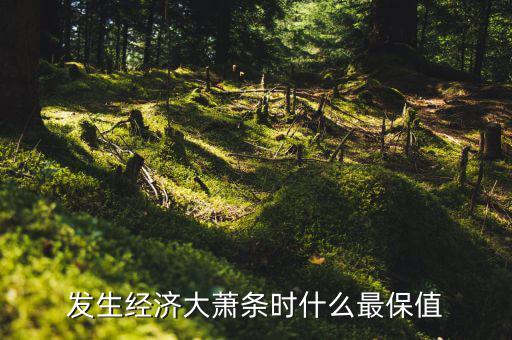 發(fā)生經濟大蕭條時什么最保值