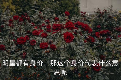 明星都有身價(jià)，那這個(gè)身價(jià)代表什么意思呢
