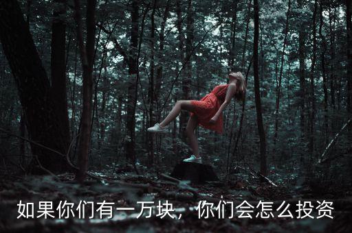 如果你們有一萬塊，你們會怎么投資