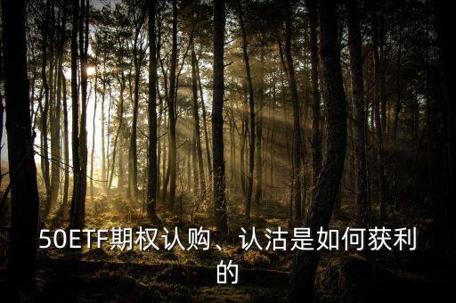 50ETF期權(quán)認購、認沽是如何獲利的