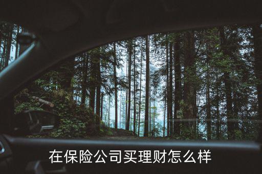 在保險(xiǎn)公司買(mǎi)理財(cái)怎么樣