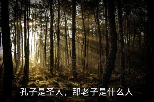 孔子是圣人，那老子是什么人