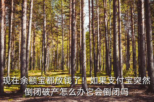 現(xiàn)在余額寶都放錢了！如果支付寶突然倒閉破產(chǎn)怎么辦它會倒閉嗎