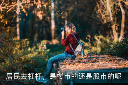 居民去杠桿，是樓市的還是股市的呢