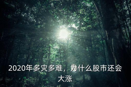 2020年多災多難，為什么股市還會大漲