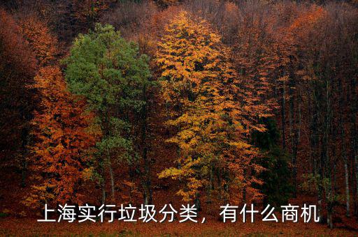 上海實行垃圾分類，有什么商機