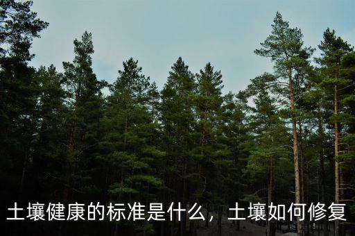土壤健康的標(biāo)準(zhǔn)是什么，土壤如何修復(fù)