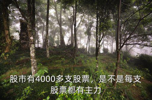 股市有4000多支股票，是不是每支股票都有主力