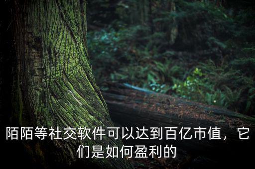 陌陌等社交軟件可以達到百億市值，它們是如何盈利的