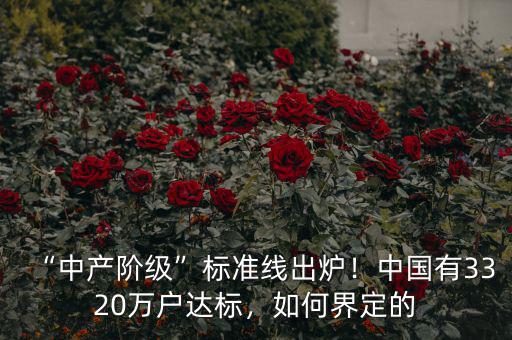 “中產(chǎn)階級”標準線出爐！中國有3320萬戶達標，如何界定的