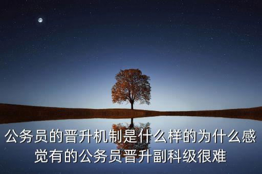 公務(wù)員的晉升機(jī)制是什么樣的為什么感覺有的公務(wù)員晉升副科級很難