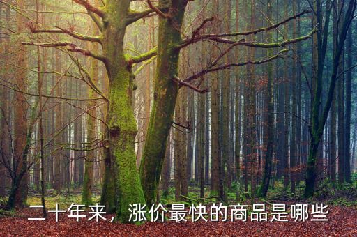 二十年來(lái)，漲價(jià)最快的商品是哪些