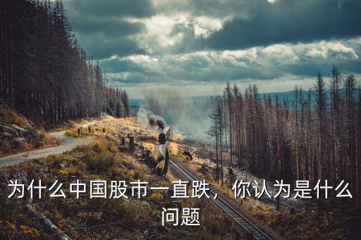 為什么中國股市一直跌，你認為是什么問題