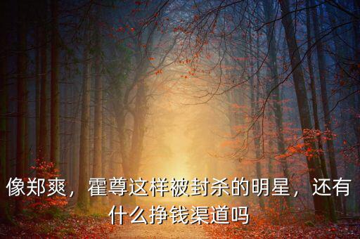 像鄭爽，霍尊這樣被封殺的明星，還有什么掙錢(qián)渠道嗎