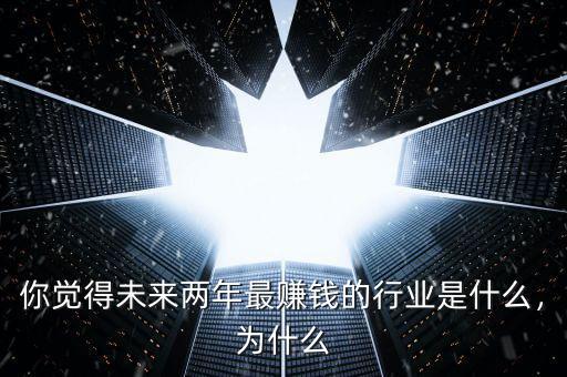 你覺得未來兩年最賺錢的行業(yè)是什么，為什么