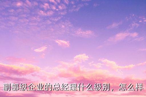副部級(jí)企業(yè)的總經(jīng)理什么級(jí)別，怎么樣