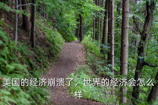 美國的經(jīng)濟(jì)崩潰了，世界的經(jīng)濟(jì)會(huì)怎么樣