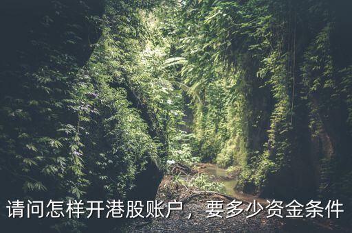 請問怎樣開港股賬戶，要多少資金條件