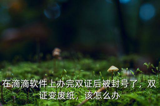在滴滴軟件上辦完雙證后被封號了，雙證變廢紙，該怎么辦