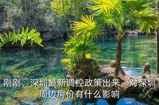 剛剛，深圳最新調(diào)控政策出來(lái)，對(duì)深圳周邊房?jī)r(jià)有什么影響