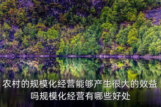 農(nóng)村的規(guī)?；?jīng)營能夠產(chǎn)生很大的效益嗎規(guī)?；?jīng)營有哪些好處