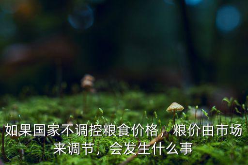 如果國家不調(diào)控糧食價(jià)格，糧價(jià)由市場來調(diào)節(jié)，會發(fā)生什么事