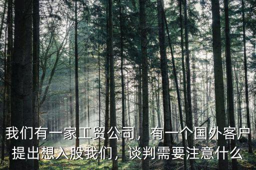 我們有一家工貿(mào)公司，有一個國外客戶提出想入股我們，談判需要注意什么