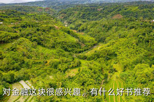 對(duì)金融這塊很感興趣，有什么好書推薦