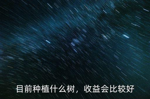 目前種植什么樹，收益會比較好
