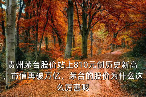 貴州茅臺股價站上810元創(chuàng)歷史新高，市值再破萬億，茅臺的股價為什么這么厲害呢