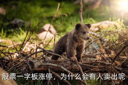 股票一字板漲停，為什么會有人賣出呢
