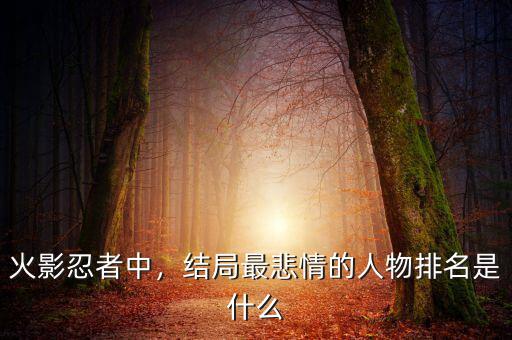 火影忍者漫畫(huà)結(jié)局是什么,火影忍者求解答