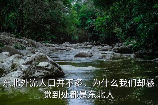 東北外流人口并不多，為什么我們卻感覺(jué)到處都是東北人