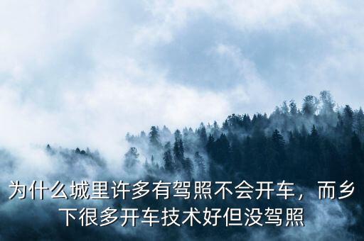 為什么城里許多有駕照不會(huì)開車，而鄉(xiāng)下很多開車技術(shù)好但沒駕照