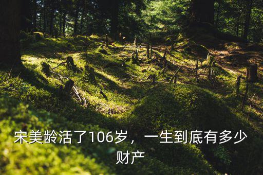 宋美齡活了106歲，一生到底有多少財(cái)產(chǎn)