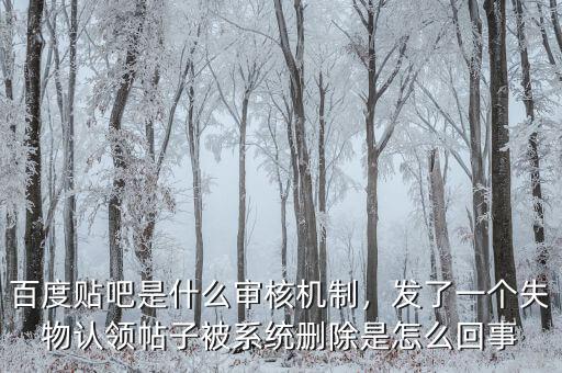 百度貼吧是什么審核機(jī)制，發(fā)了一個(gè)失物認(rèn)領(lǐng)帖子被系統(tǒng)刪除是怎么回事