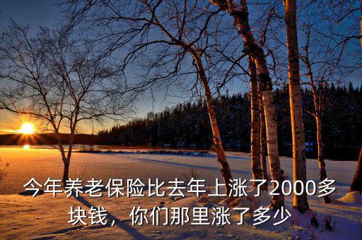 今年養(yǎng)老保險(xiǎn)比去年上漲了2000多塊錢，你們那里漲了多少