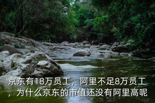 京東有18萬(wàn)員工，阿里不足8萬(wàn)員工，為什么京東的市值還沒(méi)有阿里高呢