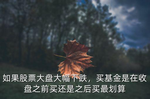 如果股票大盤(pán)大幅下跌，買(mǎi)基金是在收盤(pán)之前買(mǎi)還是之后買(mǎi)最劃算