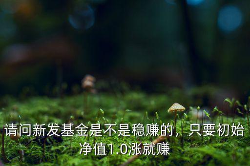 請問新發(fā)基金是不是穩(wěn)賺的，只要初始凈值1.0漲就賺