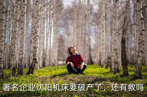 著名企業(yè)沈陽機床要破產(chǎn)了，還有救嗎