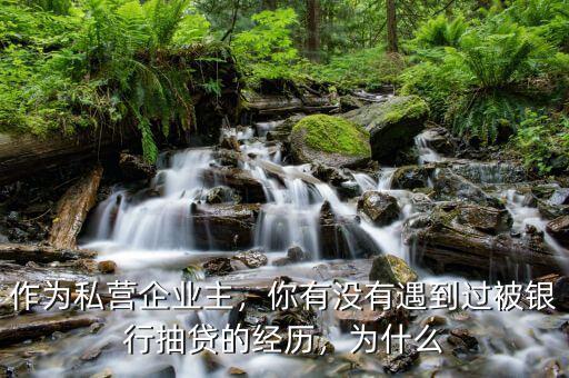 作為私營(yíng)企業(yè)主，你有沒(méi)有遇到過(guò)被銀行抽貸的經(jīng)歷，為什么