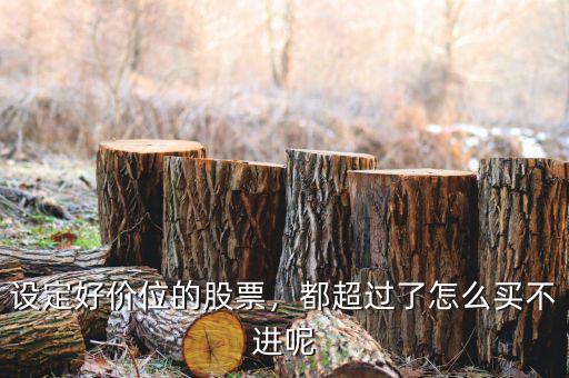 設定好價位的股票，都超過了怎么買不進呢